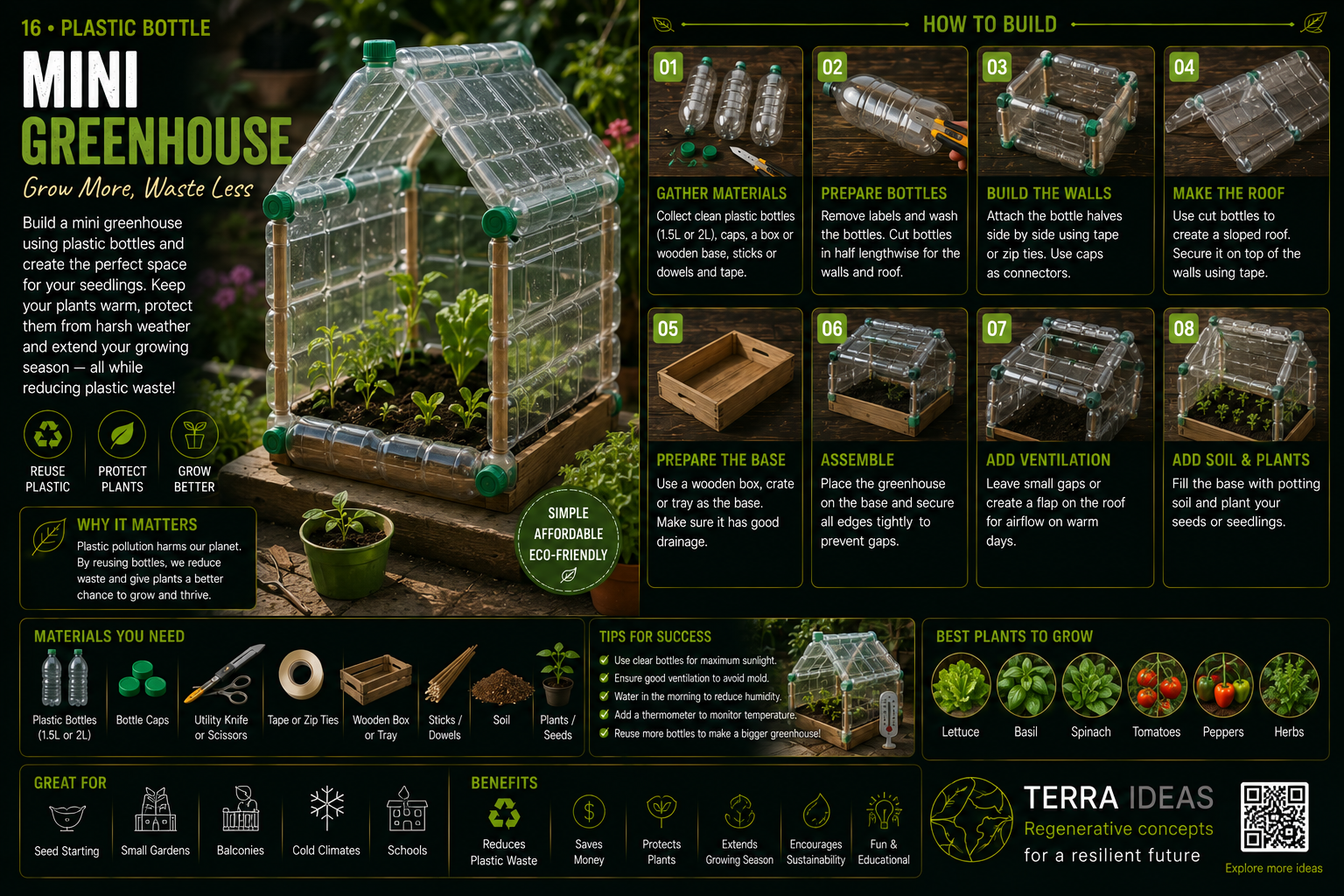 Plastic bottle mini greenhouse infographic